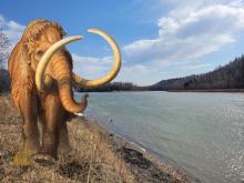 A Mammoth walking alongside a river.