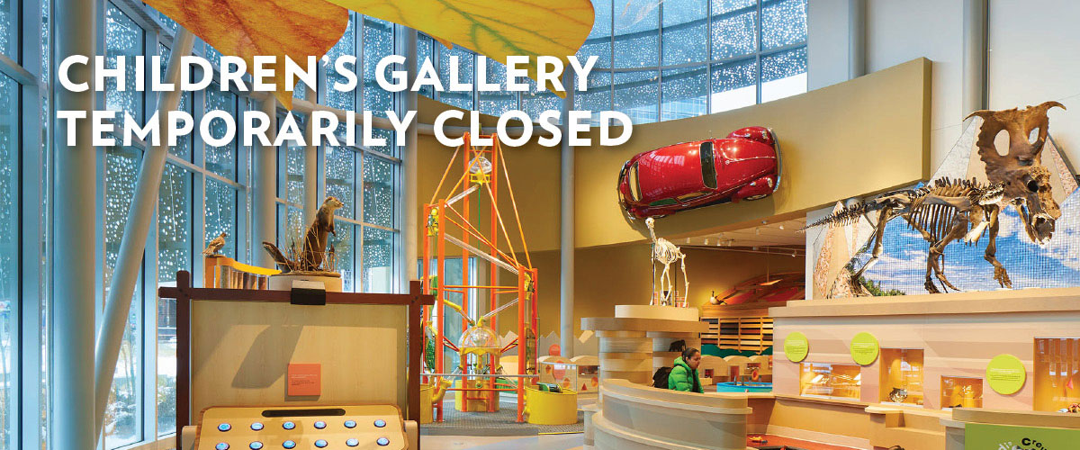 Children's Gallery temporarily closed
