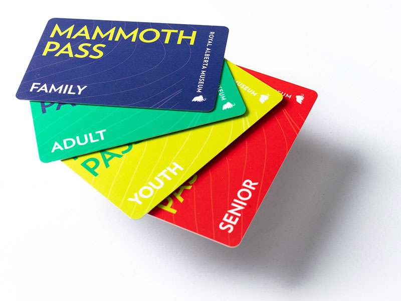 Mammoth Passes and their colour options