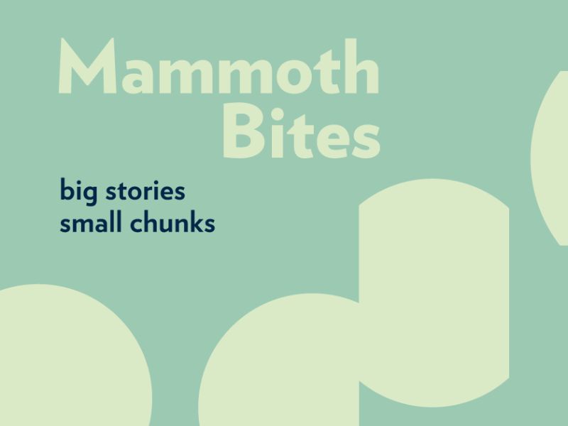 Mammoth Bites: Big Stories, Small Chunks