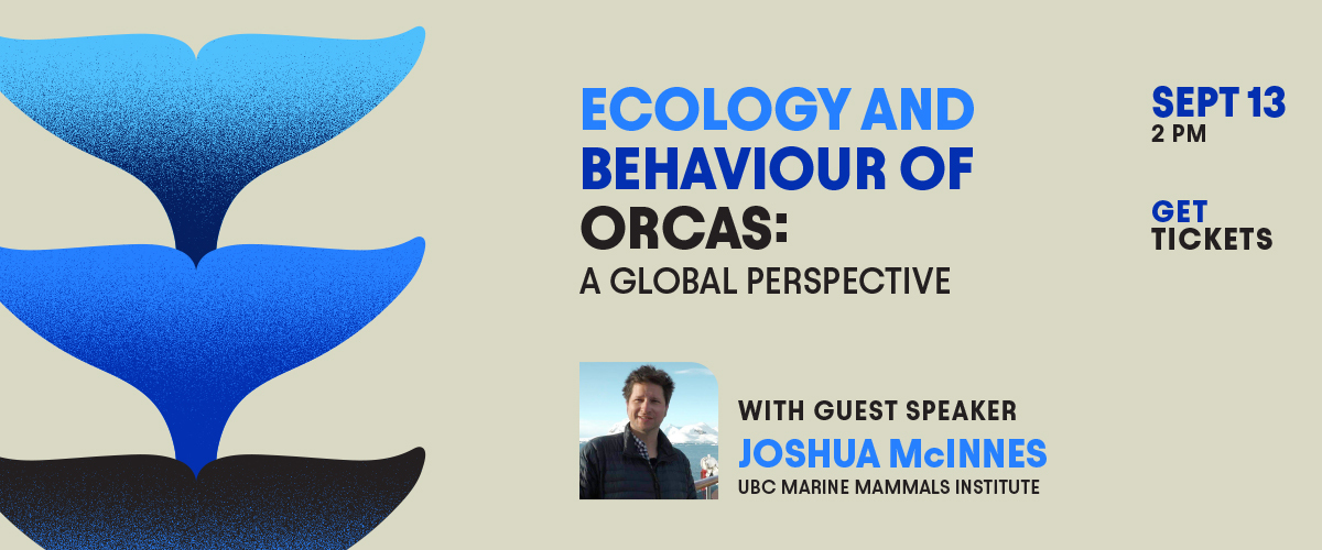 Ecology and behaviour of orcas: a global perspective. A talk by Joshua McInnes