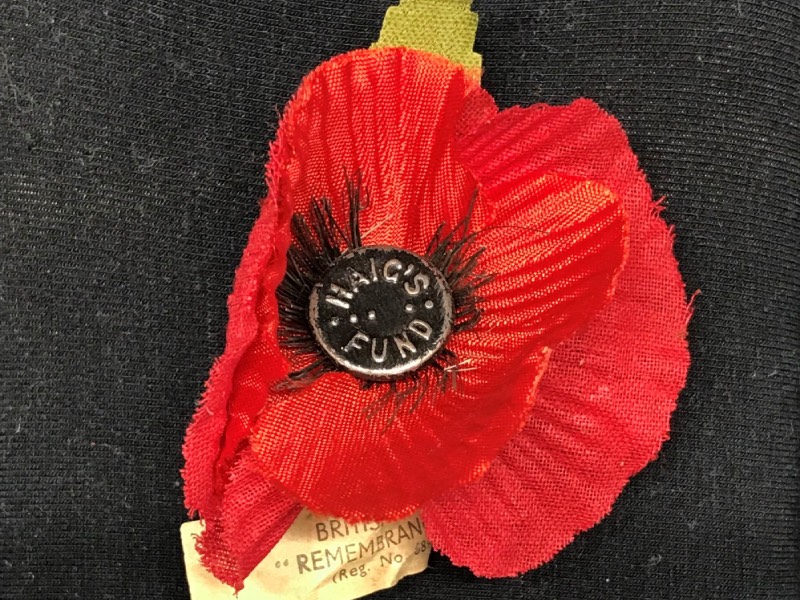 close photo of a poppy in the collection