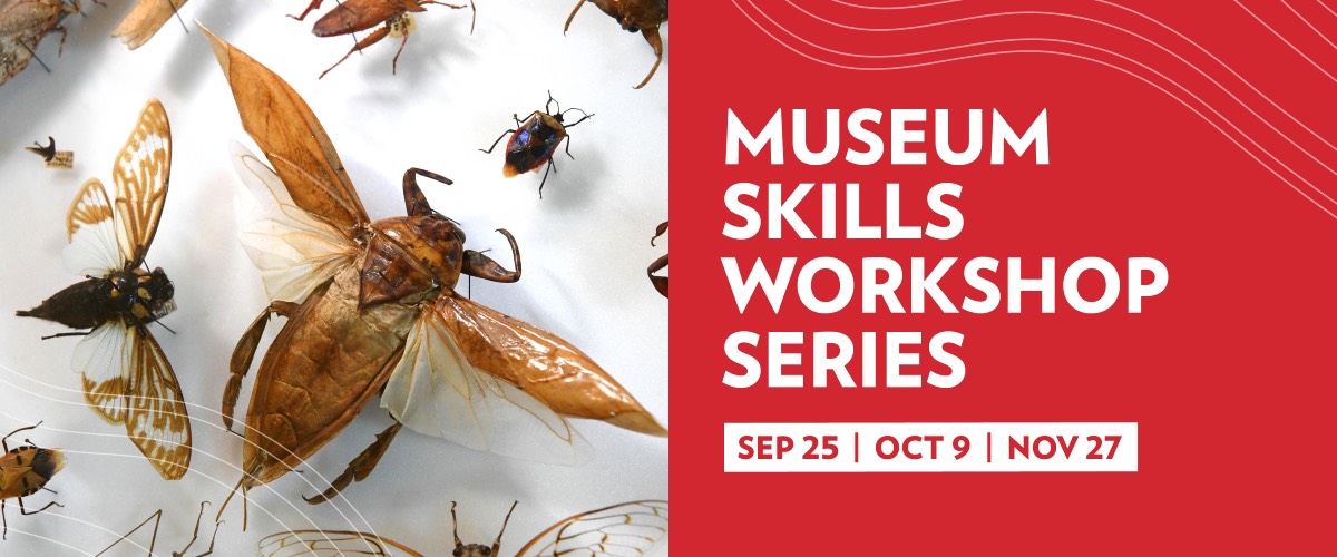 Photo of a pinned insect, and text that reads Museum Skills Workshop Series: September 25, October 9, November 27