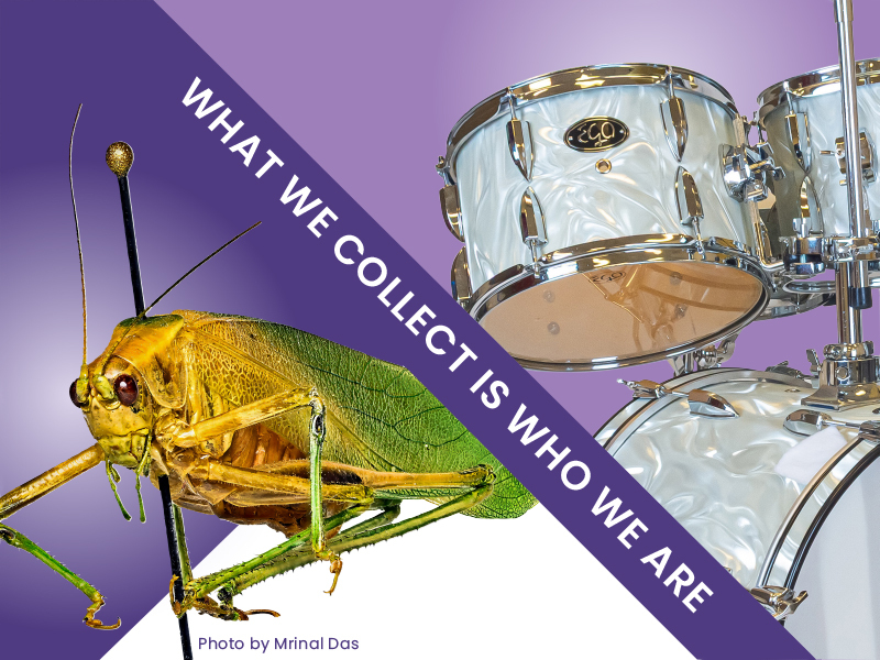 What we collect is who we are