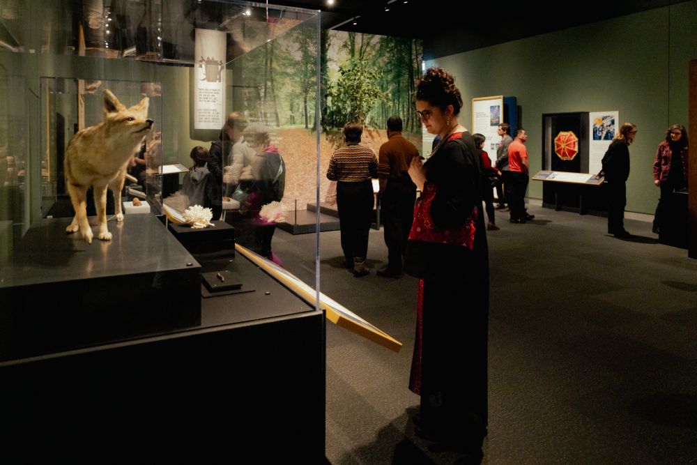 Photo Courtesy of Royal Alberta Museum