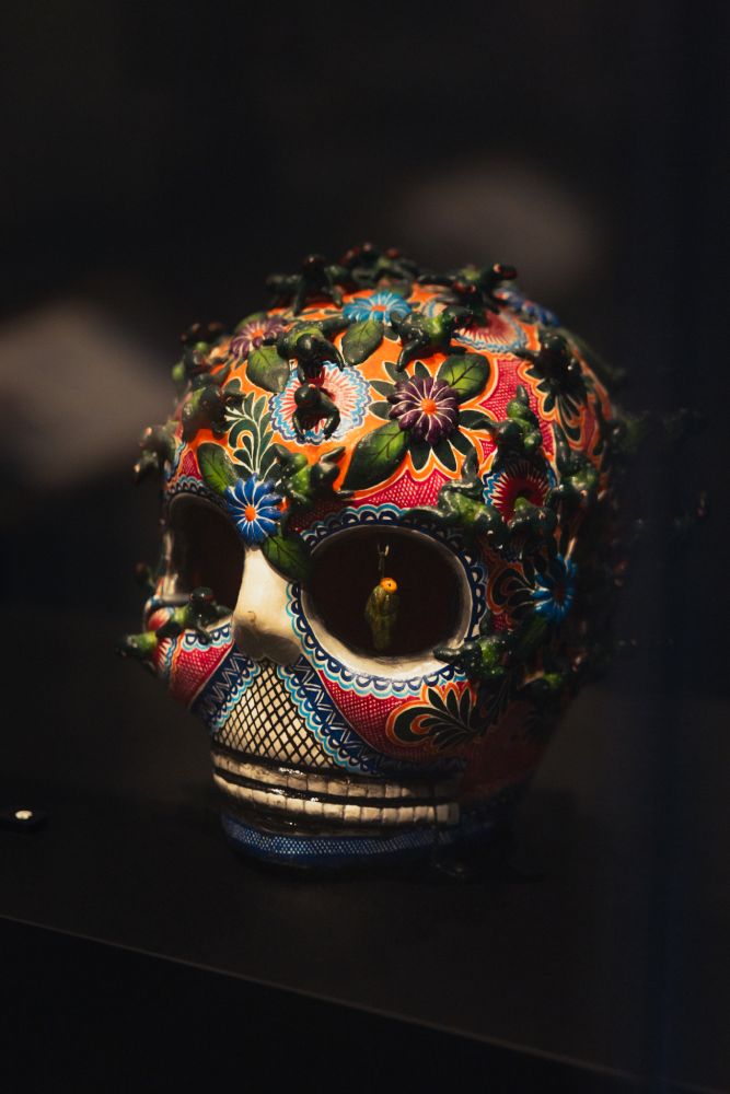 Photo Courtesy of Royal Alberta Museum