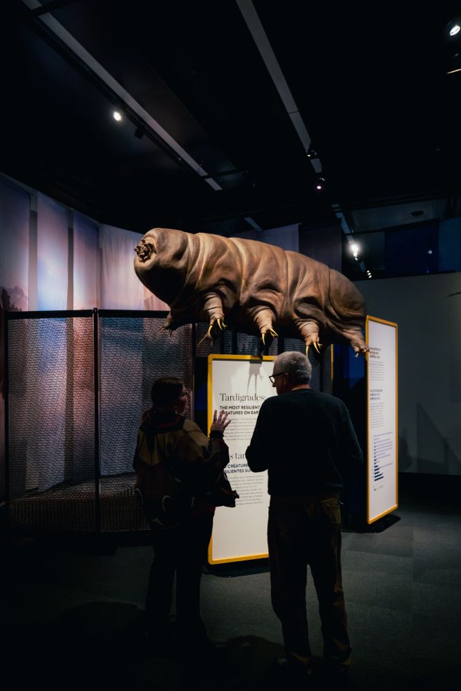 Photo Courtesy of Royal Alberta Museum