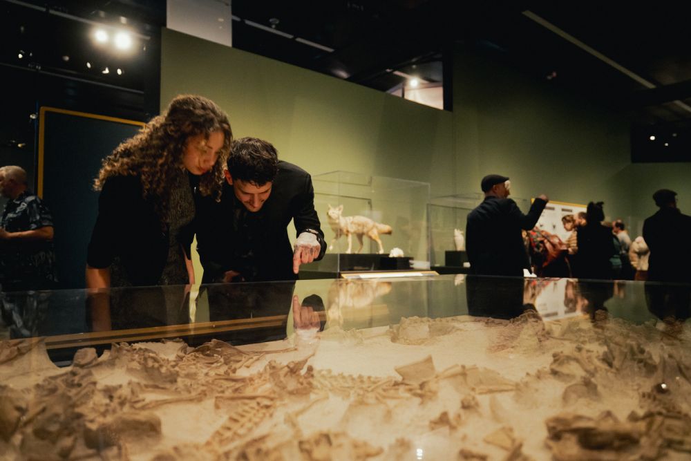 Photo Courtesy of Royal Alberta Museum