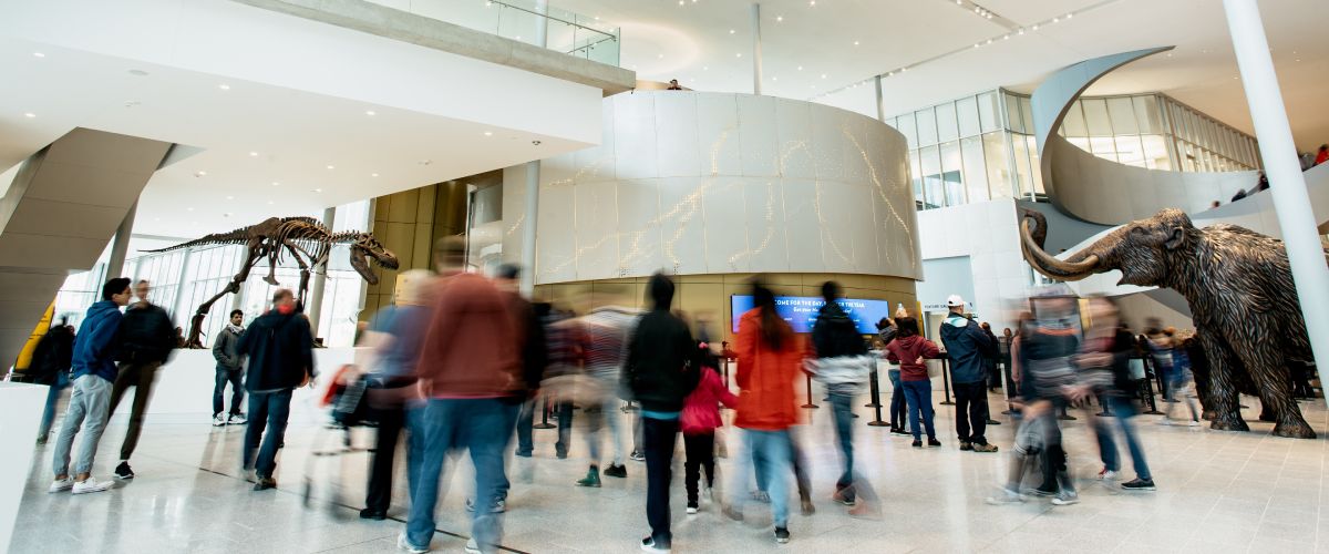 dozens of people walking through the lobby of the museum