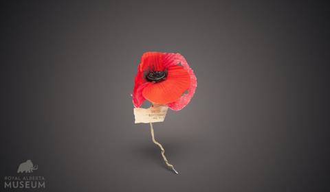 A poppy is to remember / Hubert Combe's poppy, 1921.
