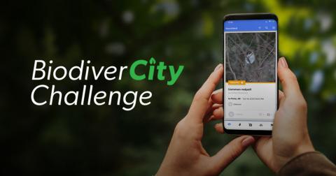 BiodiverCity Challenge