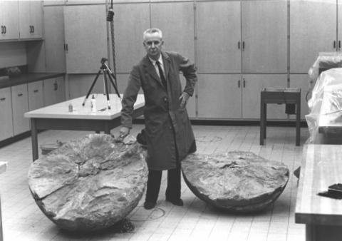 Scientist with cracked rock specimen