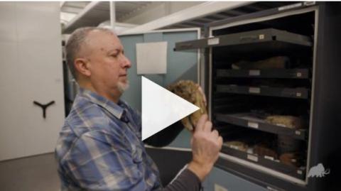 RAM Curator Chris J opens a cupboard in the RAM collections storage