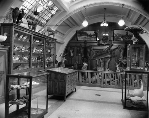 The Carillon Room, where RAM began. A domed roof hangs over a number of display cases housing artifacts