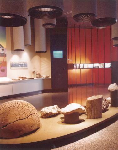 A photo of RAM's former geology gallery. In the foreground, several large rock specimens can be seen. Cylindrical lights hang above, lighting the gallery.