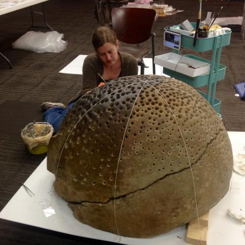 RAM Conservator sits behind the large round rock, cleaning the surface. The rock is wrapped in string, and half of it is a clean, light-brown colour while the left half remains a dark brown.