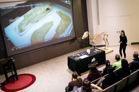 A Museum staff member giving a presentation to a crowd of people. She has a large horse skeleton on display beside a display table next to her.