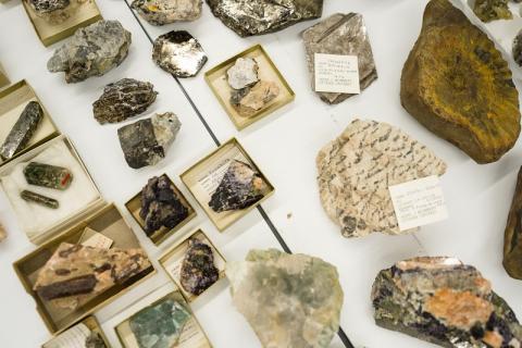 A sample of rocks and minerals from the RAM collections. It's hard to see what each of the rocks and minerals are in this shot, but there are a variety of sizes, colours and textures.