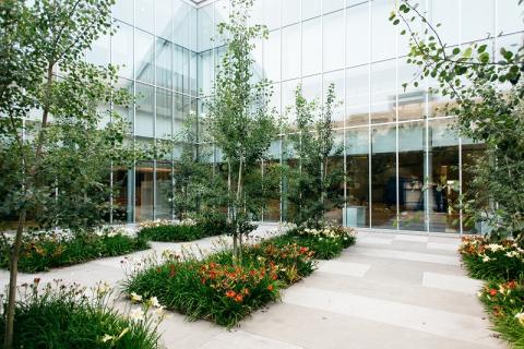 A courtyard at Royal Alberta Museum. The photo was taken in the summer and the courtyard is full of green plants and trees.