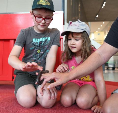 Two children look at and touch a bug on the hand of RAM staff.