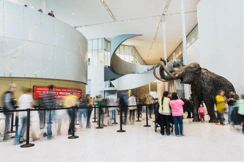 Architecture and Design Tour