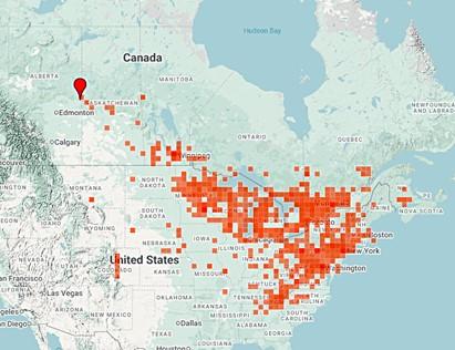 Distribution Map for the Fifteen-spotted Lady Beetle