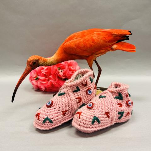 Pink shoes, a flamingo, and flowers.