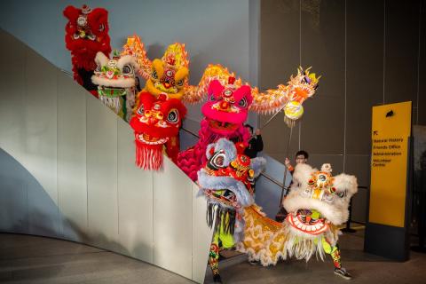 Colourful Chinese Dragon Dancers lined up on the main stairs at the Royal Alberta Museum