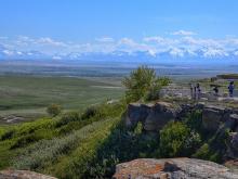 A landscape photo of Head-Smahed-In Buffalo Jump in southern Alberta. A vast expanse of green rolling hills on the left, and a steep cliff drop on the right.