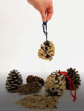 A pinecone covered in bird seed dangles from a string held by a hand. Below a selection of more pinecones and birdseed is arranged on the ground.