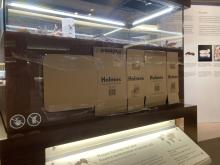 The Ant Chambers in the Bug Gallery at Royal Alberta Museum. The glass has been covered with cardboard to make the chambers dark.