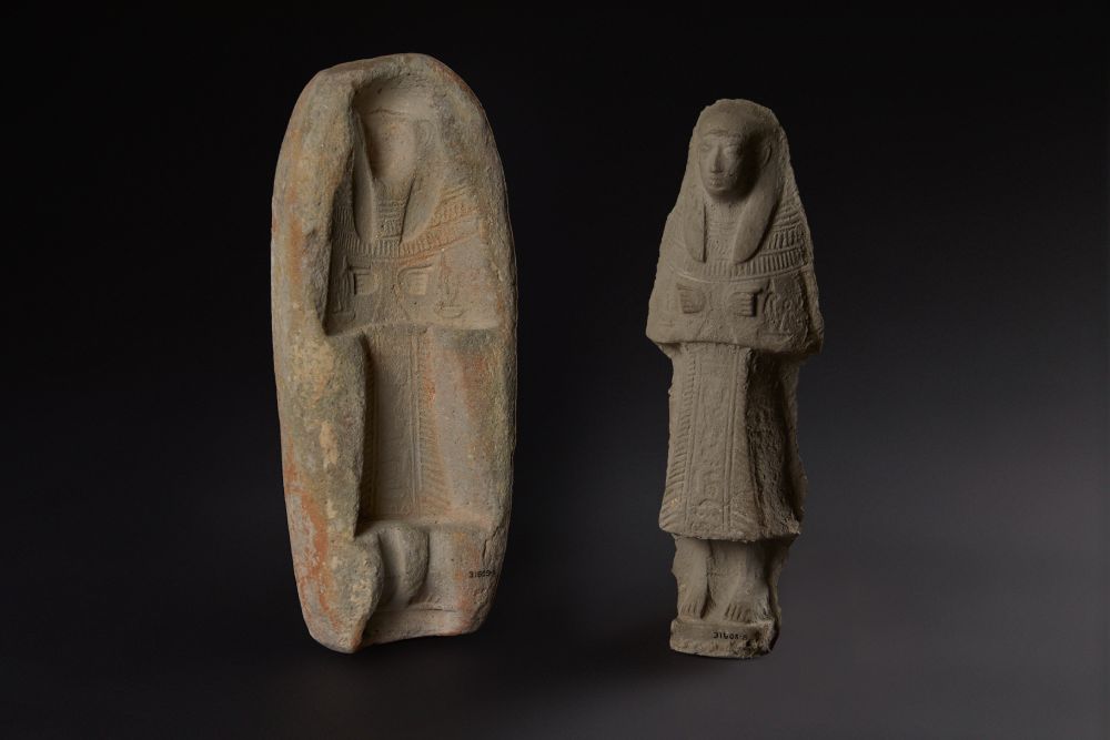 &copy; Field Museum, Michelle Kuo