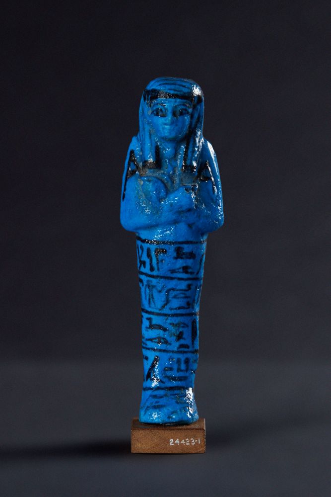 &copy; Field Museum, Michelle Kuo