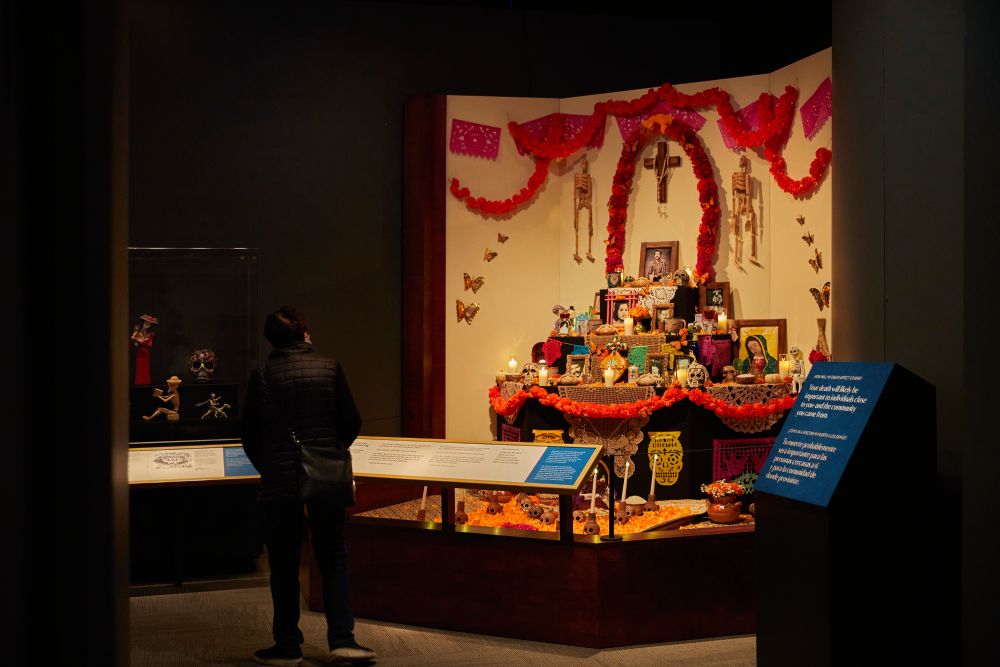 &copy; Field Museum, Michelle Kuo