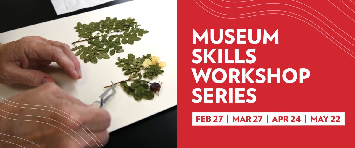 Museum Skills Workshop Series